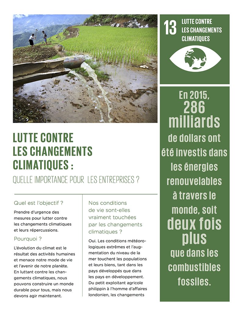 Lutte contre les changements climatiques