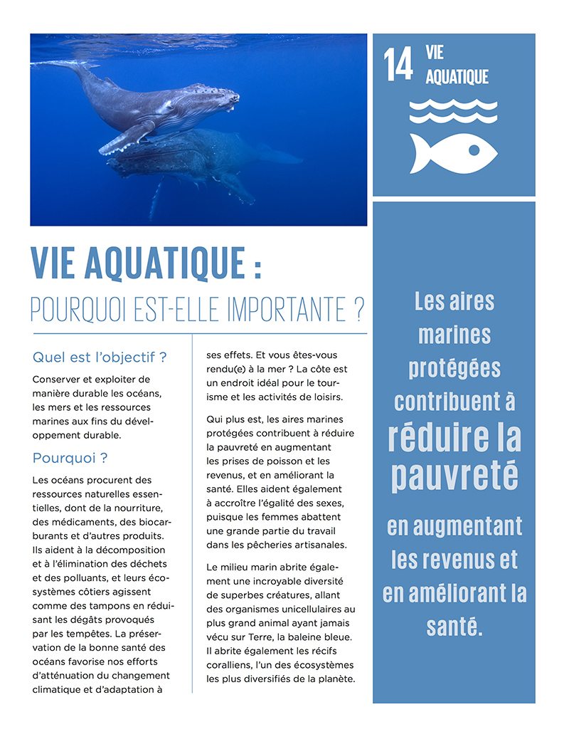 Vie aquatique