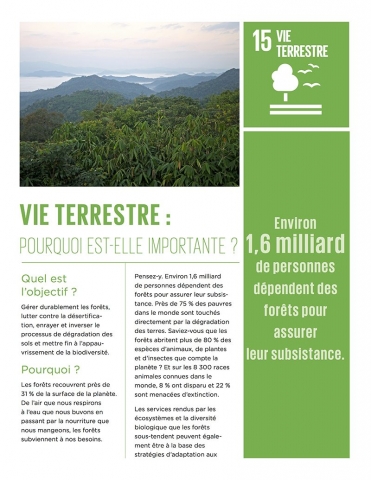 Vie terrestre