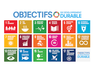 F_2016_SDG_Poster_Letter_without_UN_emblem-3-1.png