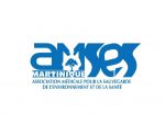 AMSES
