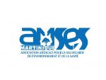 AMSES