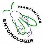 Martinique Entomologie