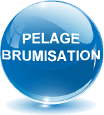 Pelage Brumisation
