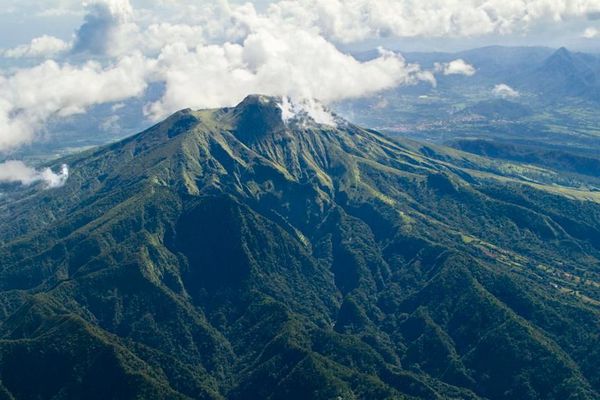 la montagne pelee